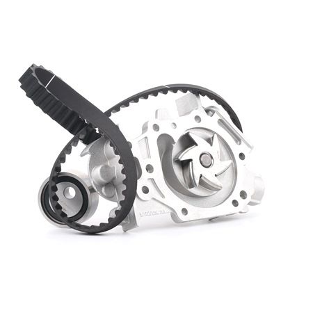 OEM Distributieriem set + waterpomp RENAULT 1.2 LPG (BB0A, CB0A) 60 PK Benzine/Autogas (LPG) van DOLZ online aan geweldige prijzen