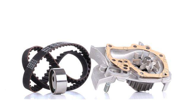 OEM Distributieriem set + waterpomp RENAULT 1.4 (B/CB0C, B/CB0S) 75 PK Benzine van DOLZ online aan geweldige prijzen