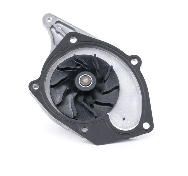 RENAULT Pulse Hatchback 2017 Vandens siurblys INA OEM 1741084A10, 1741084A11, 2101000Q0E