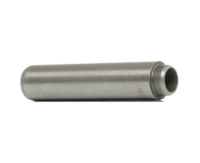 OEM Ghid supapa / simering supapa / reglaj supapa DAF 46 Break 1974 1403823, 0266425, 1313683 TRW Engine Component