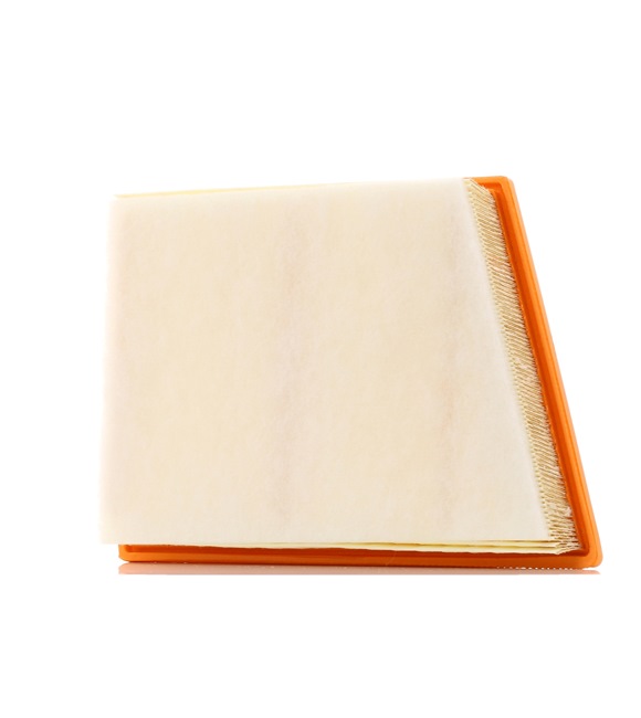 OE BMW X2 Luftfilter 13718513944, 13717619267, 13718692202 von PURFLUX — Reduzierte Preise
