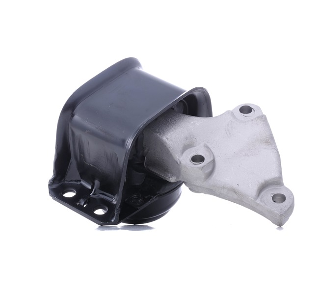 TEDGUM Suport motor 00516309