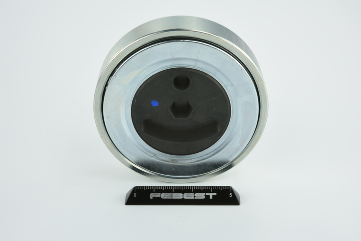 OEM Rola intinzator, curea transmisie SUZUKI 2.7 (JB627) 188 CP benzina 4916066J00 de la FEBEST online la un preț incredibil