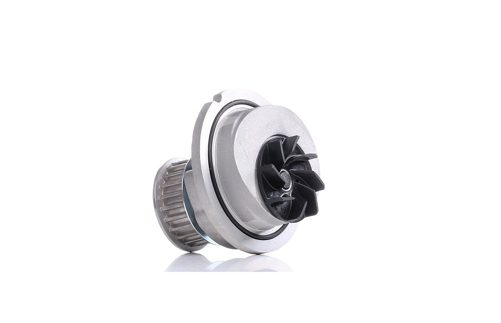 Įsigykite BOSCH Vandens siurblys Prekės Nr.: 1 987 949 728 už žemiausią 117,49 € kainą