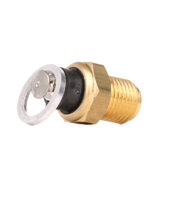 OE Sensor de temperatura de aceite AUDI A4 2011 049919563B, 059919563, 59919563 de EPS