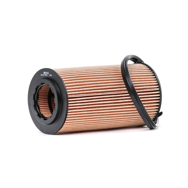 Acquista online Filtro olio 100 115 0016 originale a buon mercato, comparabile con i numeri OEM 06D115466