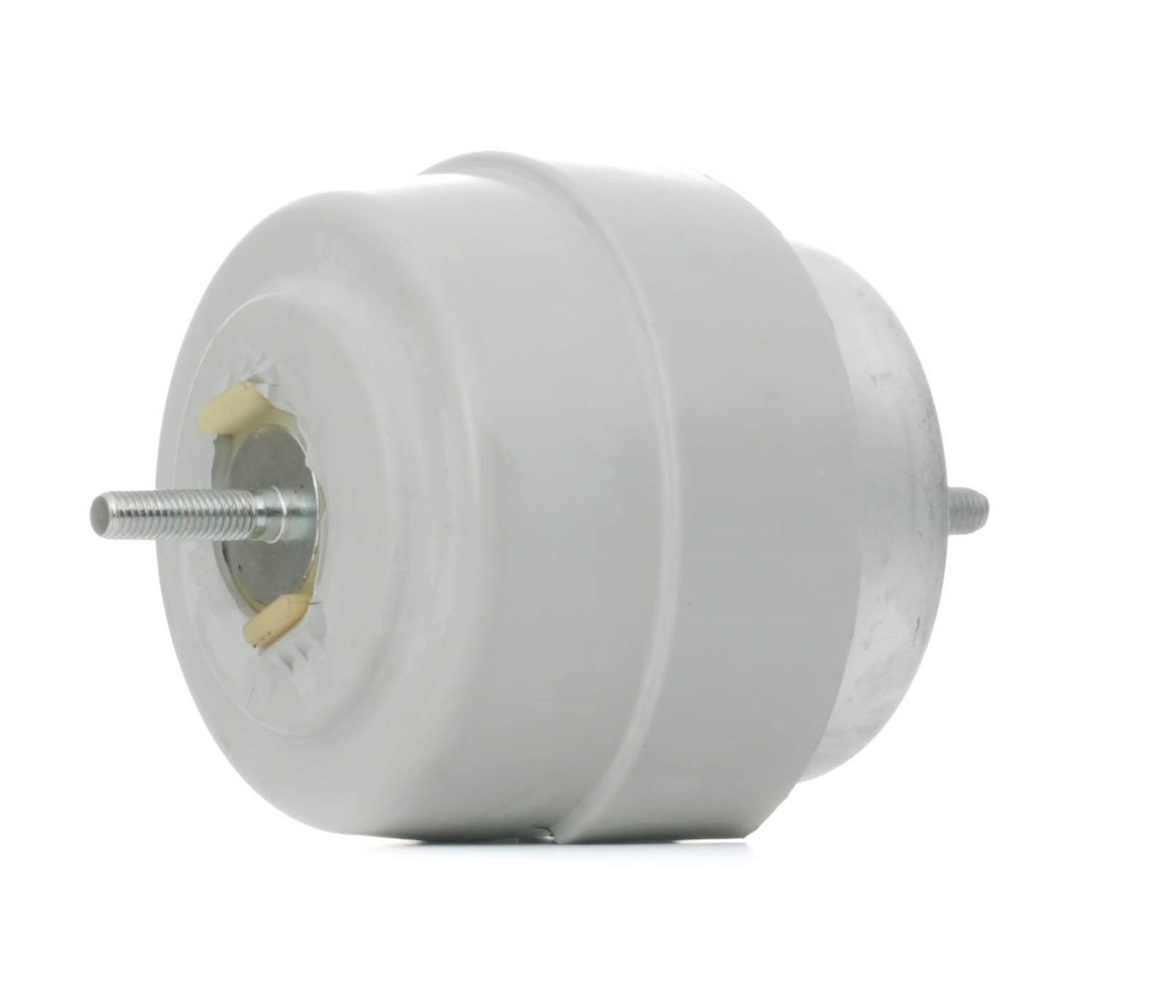 Įsigykite MEYLE Variklio montavimas Prekės Nr.: 100 199 0189 už žemiausią 68,25 € kainą