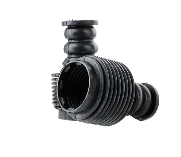 11-267904 BILSTEIN Staubmanschette & Anschlagpuffer