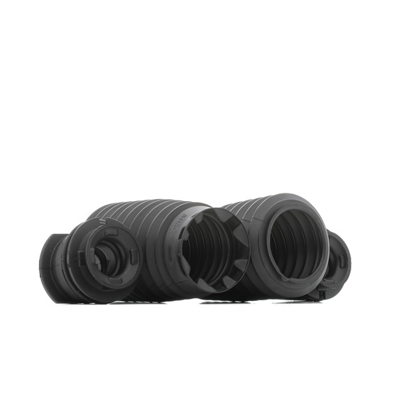 OEM Chit protectie praf, amortizor RENAULT 2.0 dCi (DT0M, DT0N, DT0S, DT19, DT1F) 173 CP motor diesel 540500001R de la BILSTEIN online la un preț incredibil