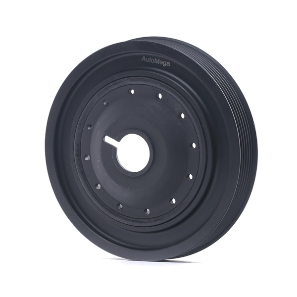 OEM Polea de cigüeñal DACIA 1.6 16V (LS09, LS0L, LS0M, LS0P, LS0V, LS18, LS1S, LS1V,... 105 CV Gasolina 123033245R de AUTOMEGA online a precios inmejorables