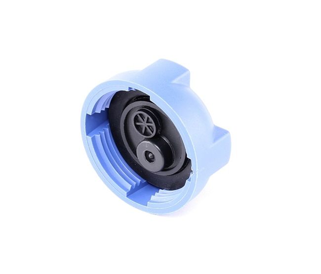 Köp billiga original Lock till expansionskärl 160033710 jämförbara med 171121321F OEM nummer på nätet