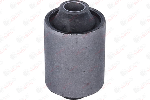 OEM Blattfedern Opel Corsa C 2009 6197146, 92VB5719AA BIRTH