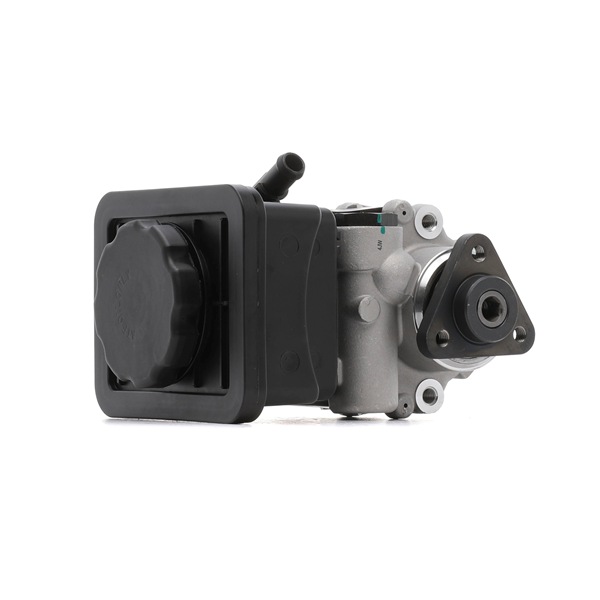 Ostke odavaid originaale Roolivõimu pump 314 631 0014 mis on võrreldavad 6754172 OEM numbritega internetis