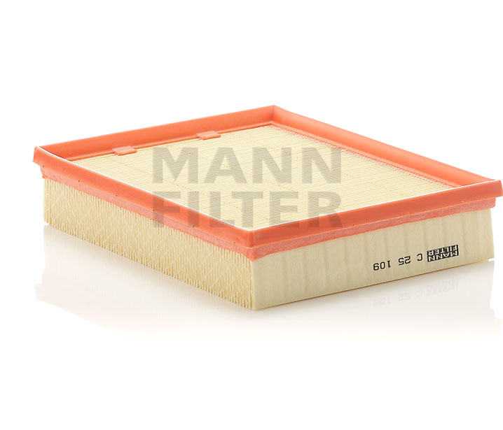 OEM Vervangingsfilter Renault Laguna 3 Coupe 2012 8200576596, 70382000, 70381176 MANN-FILTER