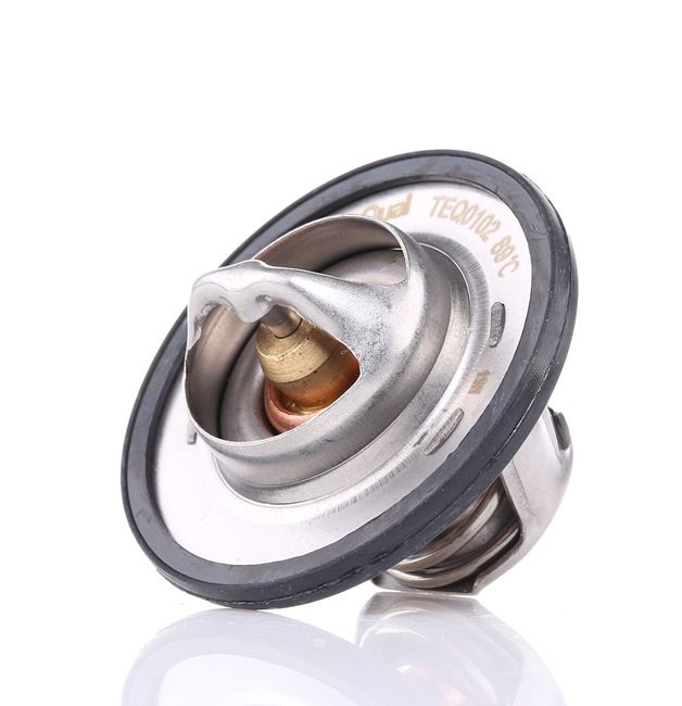 Thermostat d'eau 1338 11