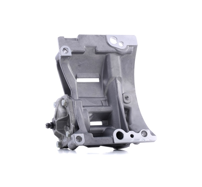 OE Bomba de aceite del motor BMW 507 1959 11417501568, 7501568 de PIERBURG