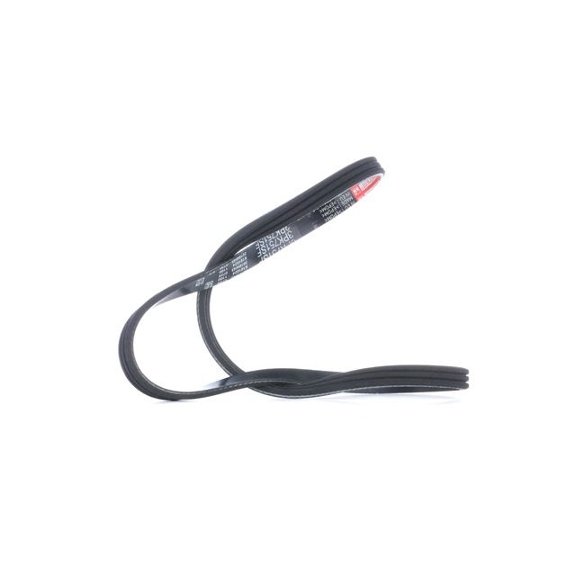 OEM Multiriem RENAULT 1.2 16V (CN04, CN0B) 75 PK Benzine 117200033R van GATES online aan geweldige prijzen