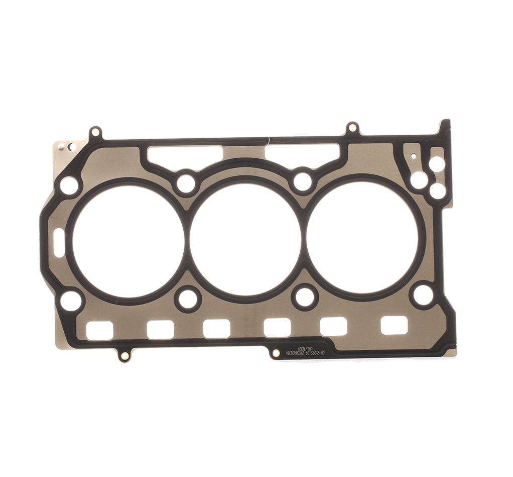 Pirkt REINZ Blīve, Motora bloka galva Preces Nr.: 61-36045-00 pie zemu cenu 26,44 €