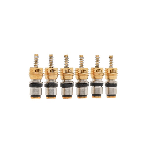 VALEO Garnitura, conducta lichid de racire 509217