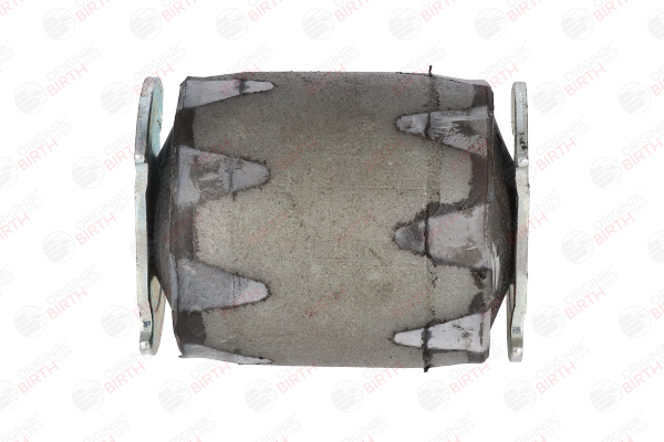 OEM Foi arc Renault Megane Scenic 1999 1355336080, 1355466080, 4419516 BIRTH