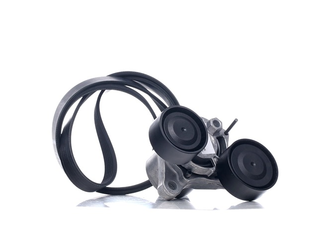 OE Kit de correa auxiliar BMW X6 2021 11282365964, 11287810807, 11288507415 de INA