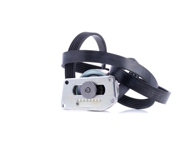 Acquista online Kit Cinghie Poly-V 529 0216 10 originale a buon mercato, comparabile con i numeri OEM 5750T6