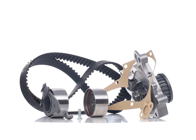 Acquista online Kit cinghia distribuzione, pompa acqua 530 0268 30 originale a buon mercato, comparabile con i numeri OEM 1350574021