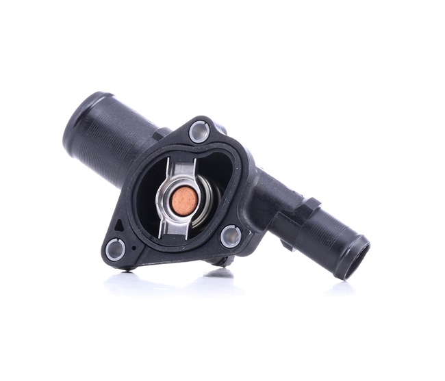OEM Termostat, chladivo RENAULT 1.2 65 HP Benzín 1106100QAE od FAE online za výborné ceny