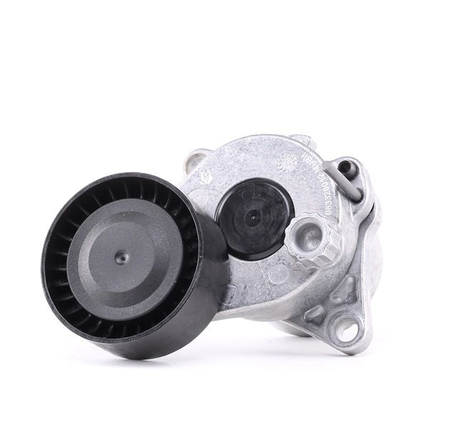 OEM Întinzător curea accesorii MERCEDES-BENZ Sprinter 4-t Tourer (907) 2020 6512000470, 6512001870, A6512000470 INA