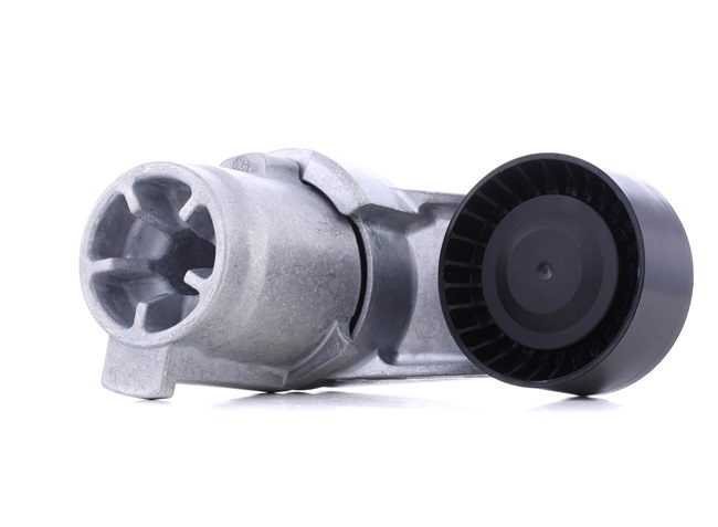 OE ALPINA B3 Intinzator, curea transmisie 11287599097, 11288088632, 11288604266 de la INA - prețuri reduse