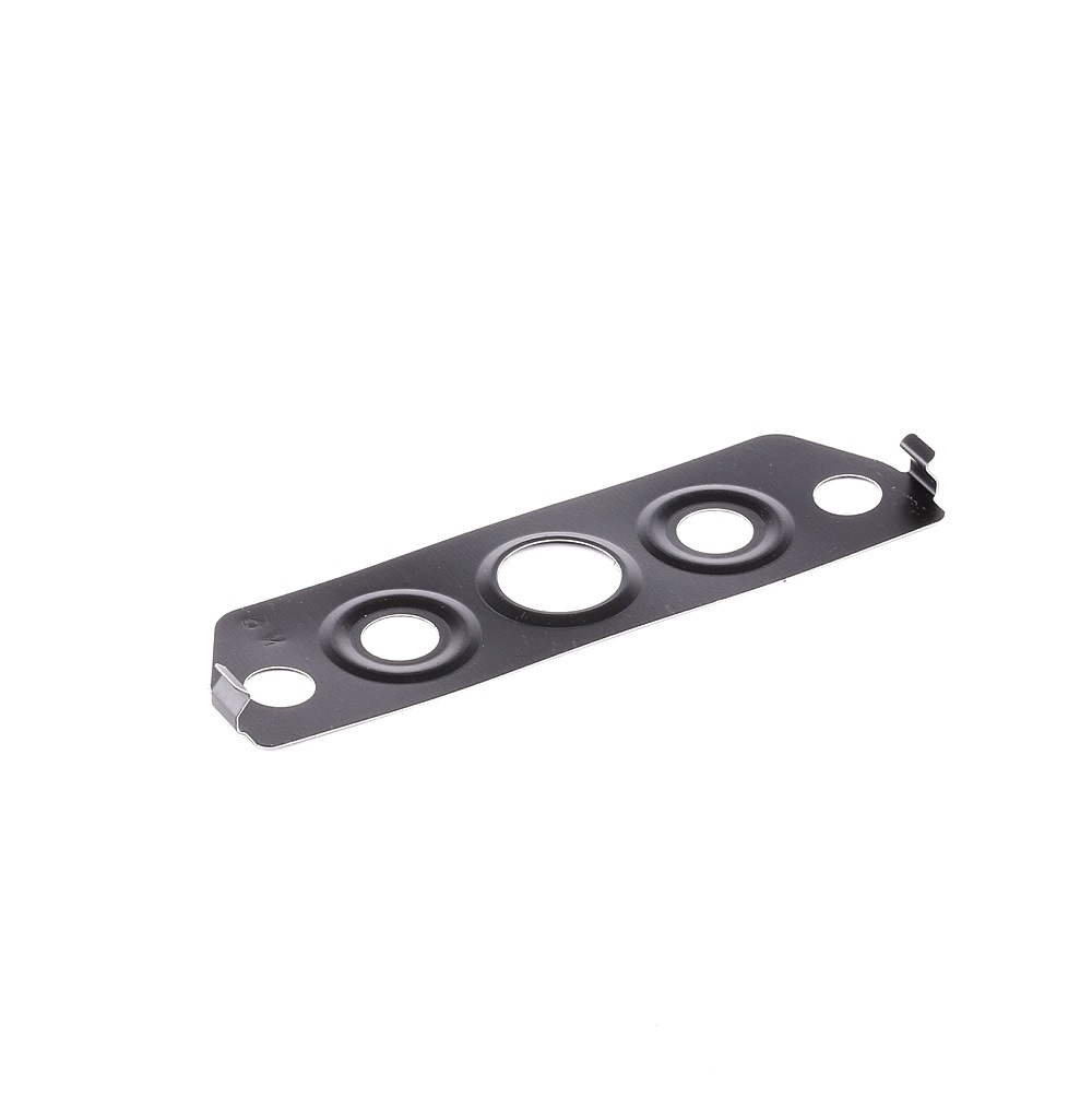 Įsigykite ELRING Tarpiklis, alyvos pildymo anga (piltuvas) Prekės Nr.: 540.850 už žemiausią 4,50 € kainą