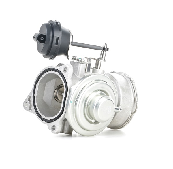 OEM EGR-ventil VW 1.9 TDI 130 hk Diesel 038131501AA från MAGNETI MARELLI på nätet till fantastiska priser