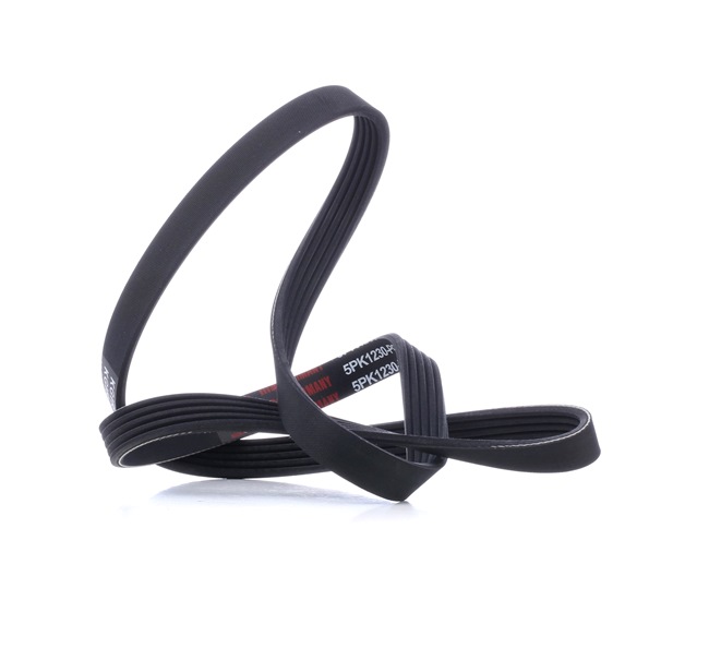 OEM Multiriem OPEL 1.0 (F08, F68) 58 PK Benzine 09118612 van MASTER-SPORT online aan geweldige prijzen